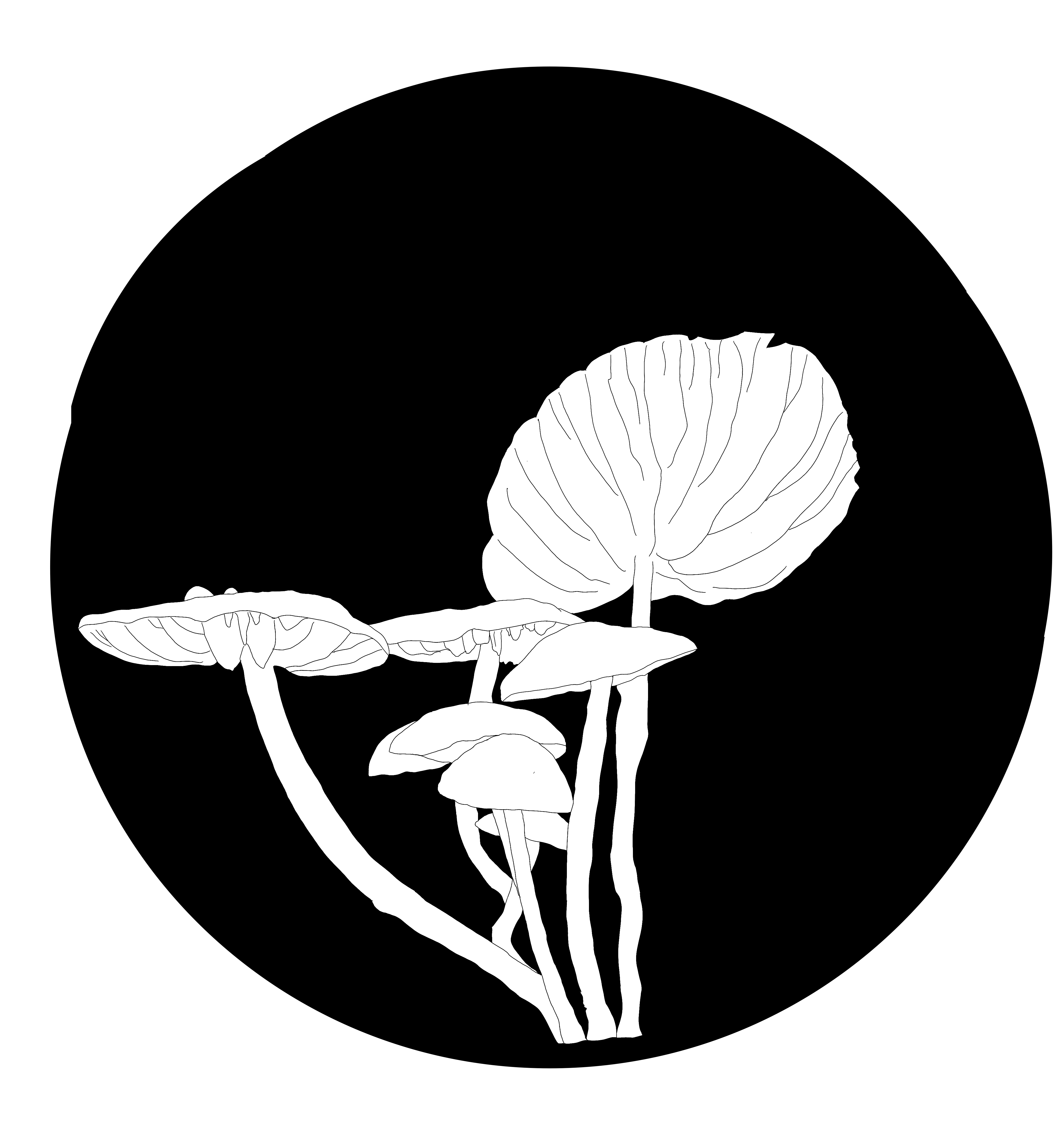 JaxonvilleMushrooms logo depicting a cluster of wandering creamsicle mushrooms